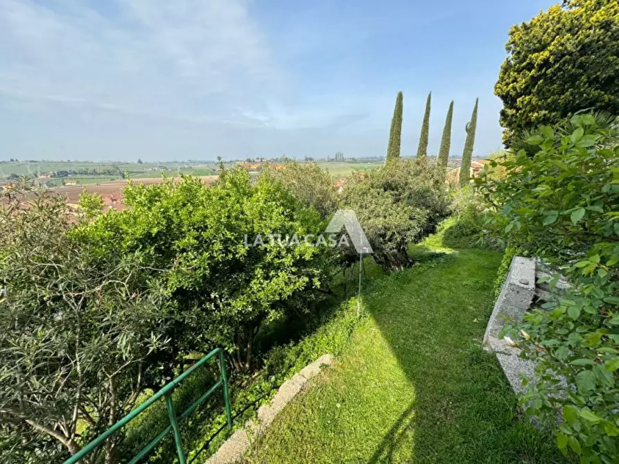 Immagine 14 di Villa in vendita  a Sona