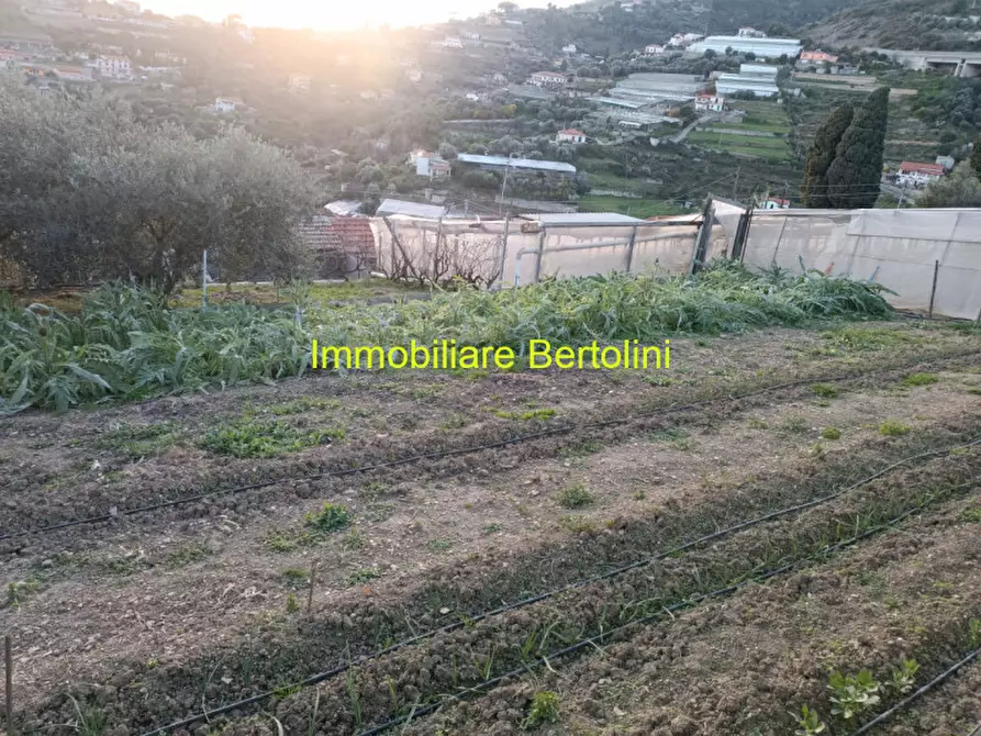 Immagine 7 di Terreno in vendita  in SAN BARTOLOMEO a San Remo
