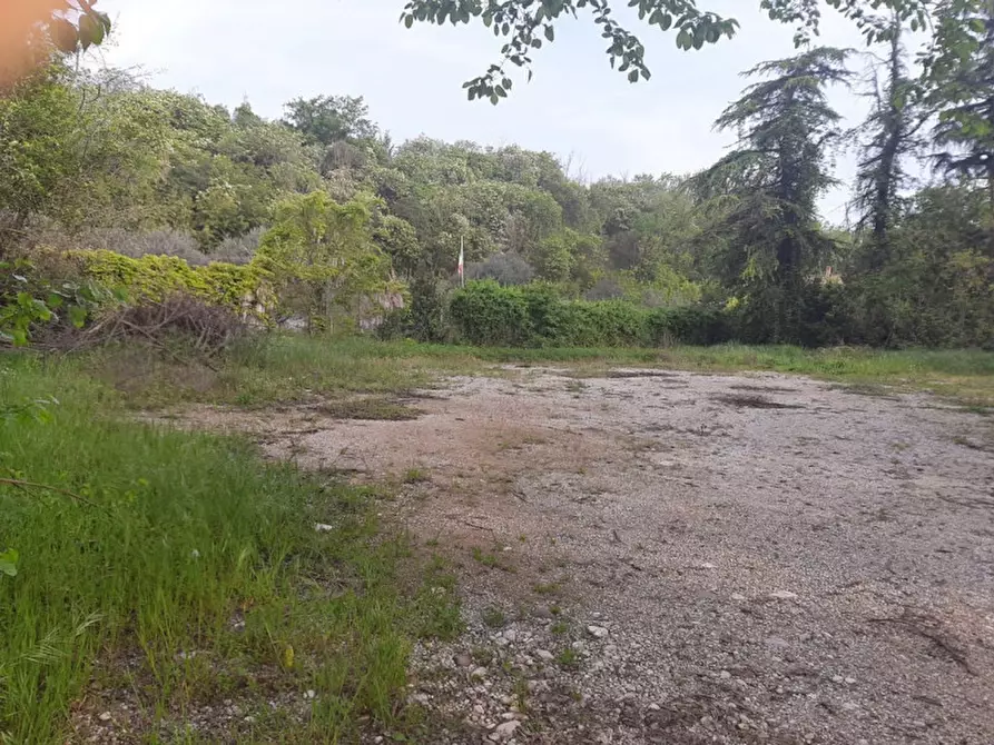 Immagine 2 di Terreno in vendita  a Valeggio Sul Mincio