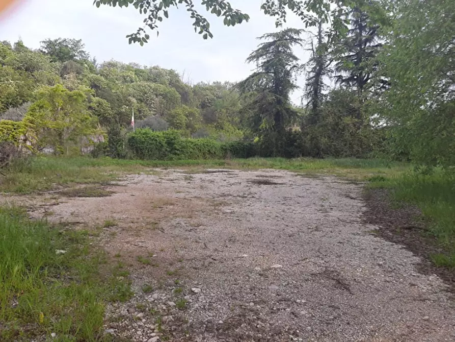 Immagine 3 di Terreno in vendita  a Valeggio Sul Mincio