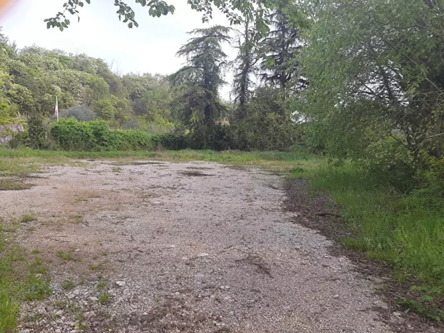 Immagine 4 di Terreno in vendita  a Valeggio Sul Mincio
