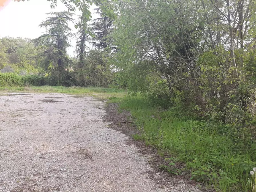 Immagine 5 di Terreno in vendita  a Valeggio Sul Mincio