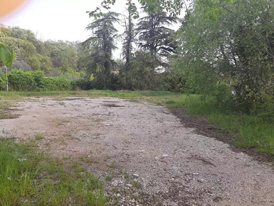 Immagine 6 di Terreno in vendita  a Valeggio Sul Mincio