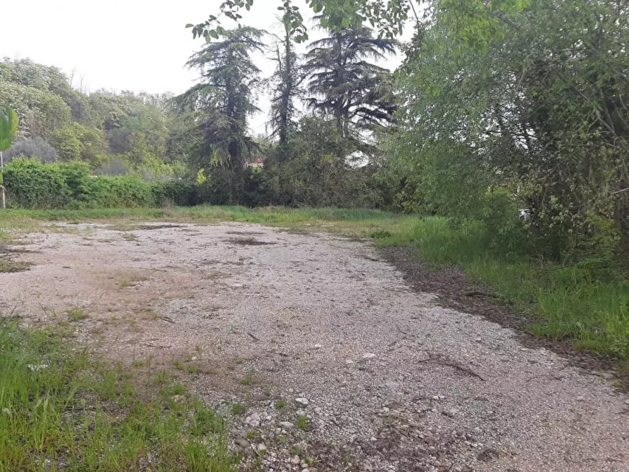 Immagine 7 di Terreno in vendita  a Valeggio Sul Mincio