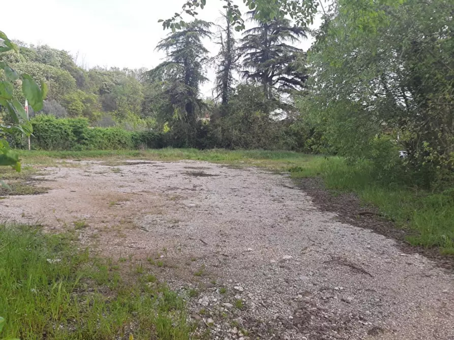 Immagine 8 di Terreno in vendita  a Valeggio Sul Mincio