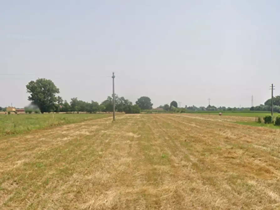 Immagine 1 di Terreno in affitto  a Piazzola Sul Brenta