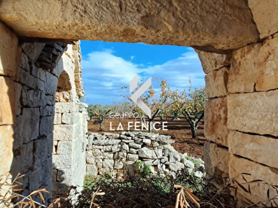 Immagine 3 di Rustico / casale in vendita  in contrada Maccarone a Locorotondo