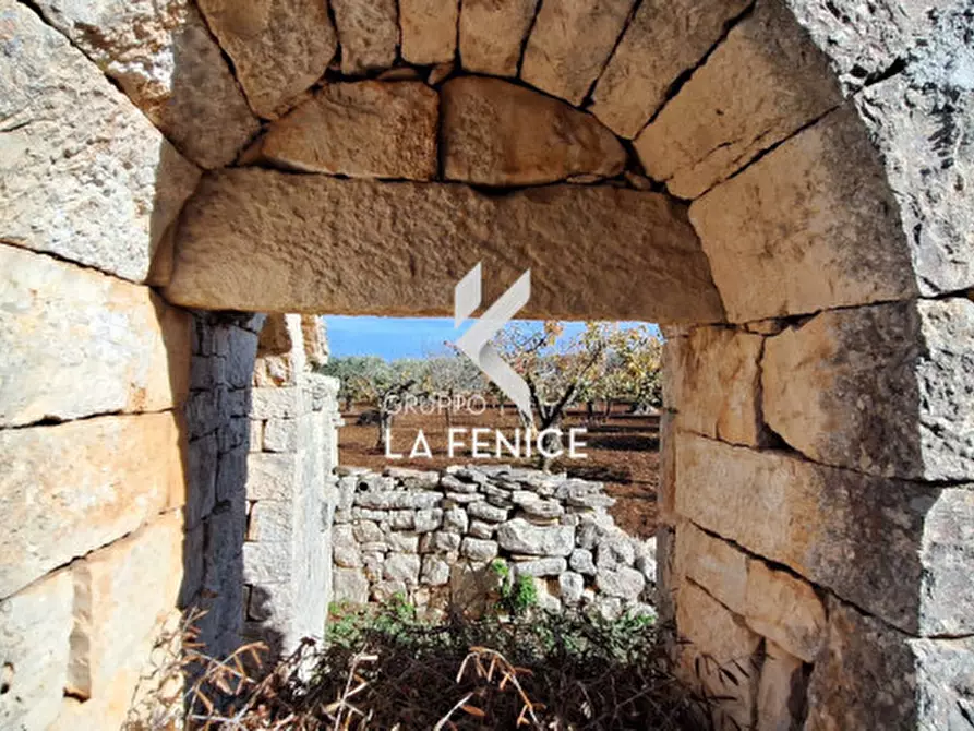 Immagine 4 di Rustico / casale in vendita  in contrada Maccarone a Locorotondo