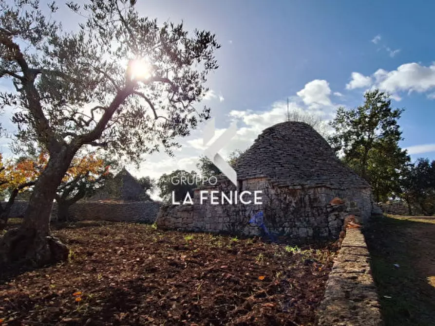 Immagine 11 di Rustico / casale in vendita  in contrada Maccarone a Locorotondo