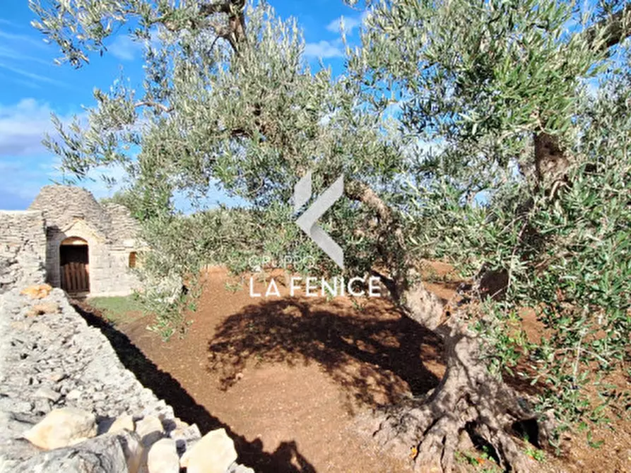 Immagine 14 di Rustico / casale in vendita  in contrada Maccarone a Locorotondo