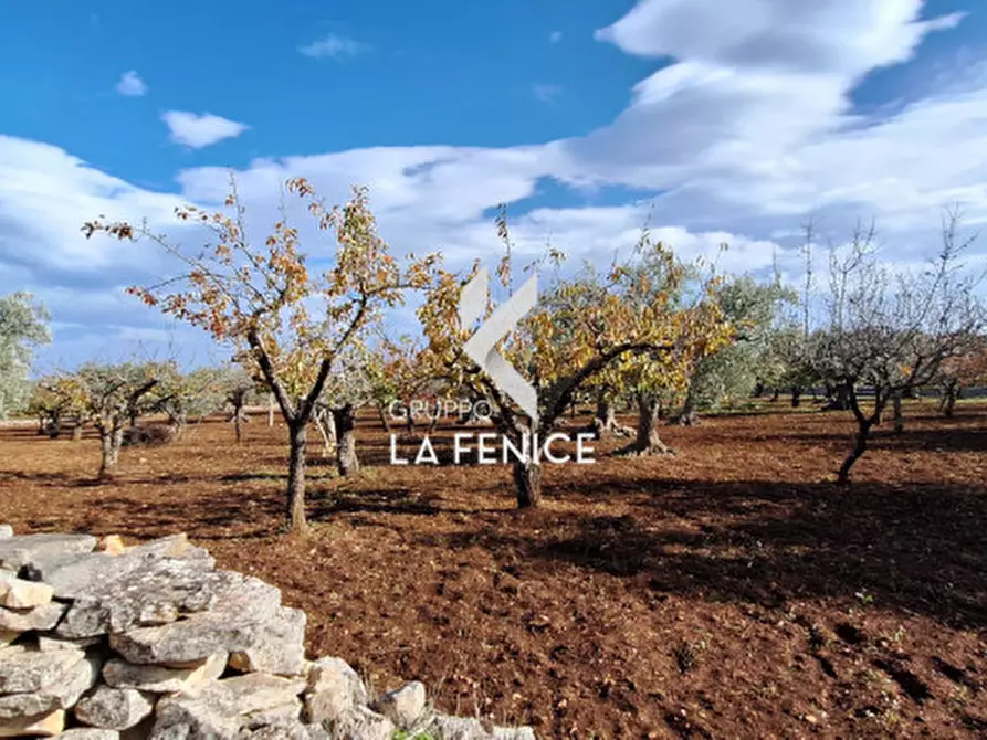 Immagine 15 di Rustico / casale in vendita  in contrada Maccarone a Locorotondo