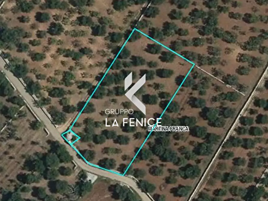 Immagine 19 di Rustico / casale in vendita  in contrada Maccarone a Locorotondo