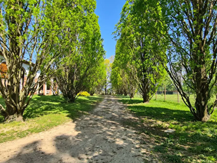 Immagine 5 di Villa in vendita  in Via Cendrole 19/c a Riese Pio x