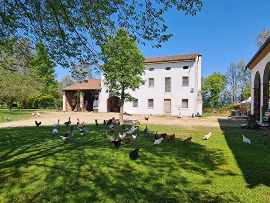 Immagine 15 di Villa in vendita  in Via Cendrole 19/c a Riese Pio x