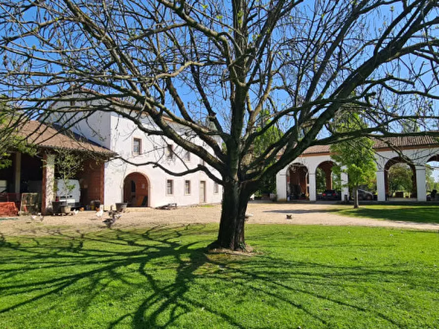 Immagine 20 di Villa in vendita  in Via Cendrole 19/c a Riese Pio x