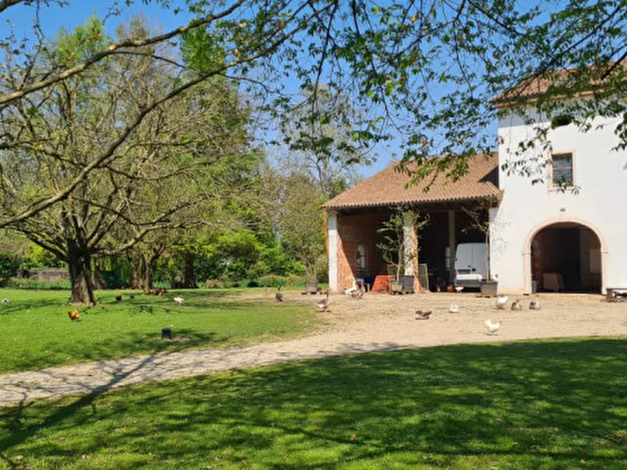 Immagine 22 di Villa in vendita  in Via Cendrole 19/c a Riese Pio x