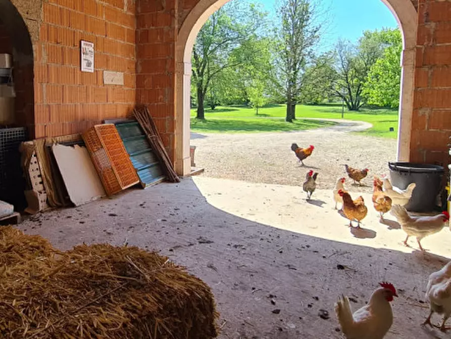 Immagine 23 di Villa in vendita  in Via Cendrole 19/c a Riese Pio x