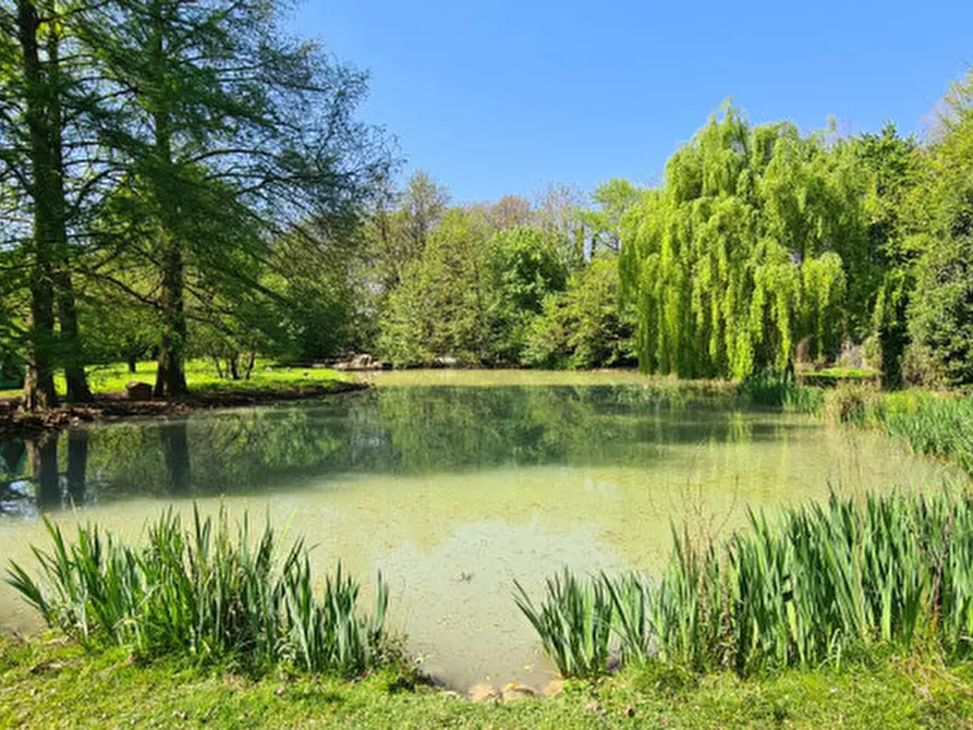 Immagine 33 di Villa in vendita  in Via Cendrole 19/c a Riese Pio x