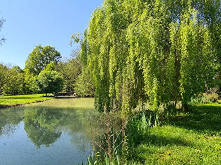 Immagine 34 di Villa in vendita  in Via Cendrole 19/c a Riese Pio x