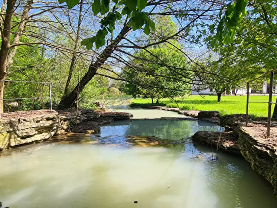 Immagine 39 di Villa in vendita  in Via Cendrole 19/c a Riese Pio x