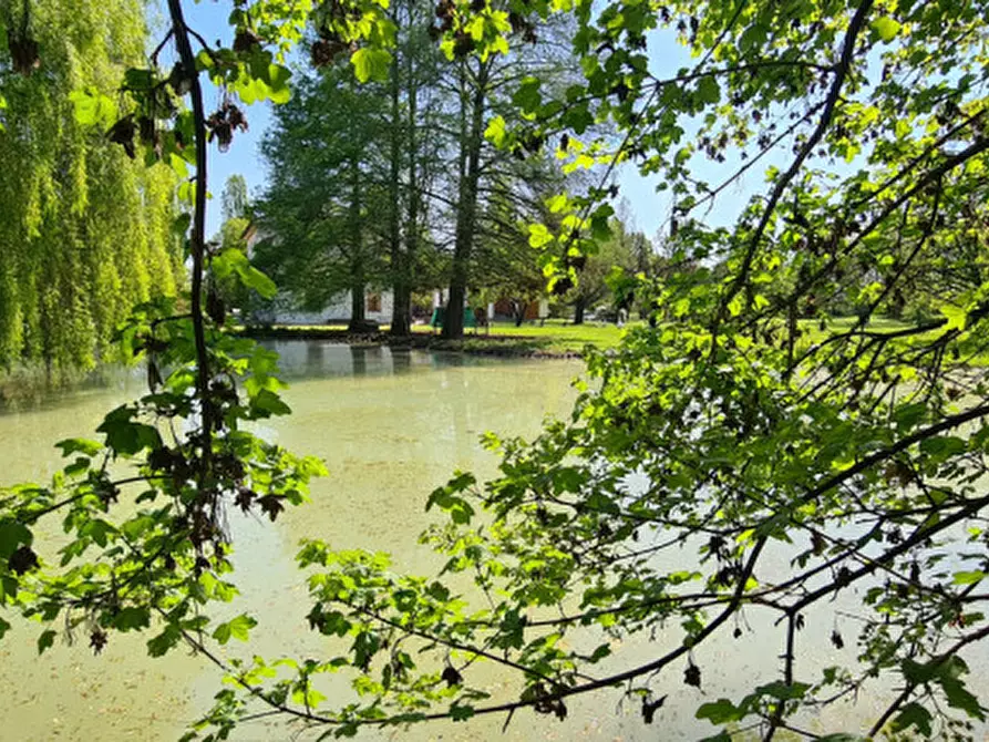 Immagine 41 di Villa in vendita  in Via Cendrole 19/c a Riese Pio x