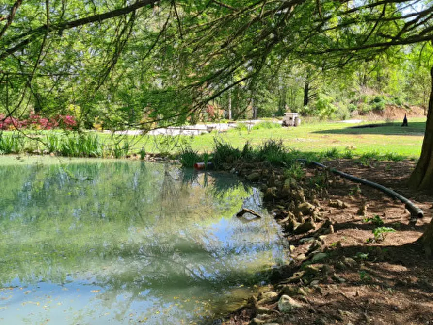 Immagine 45 di Villa in vendita  in Via Cendrole 19/c a Riese Pio x