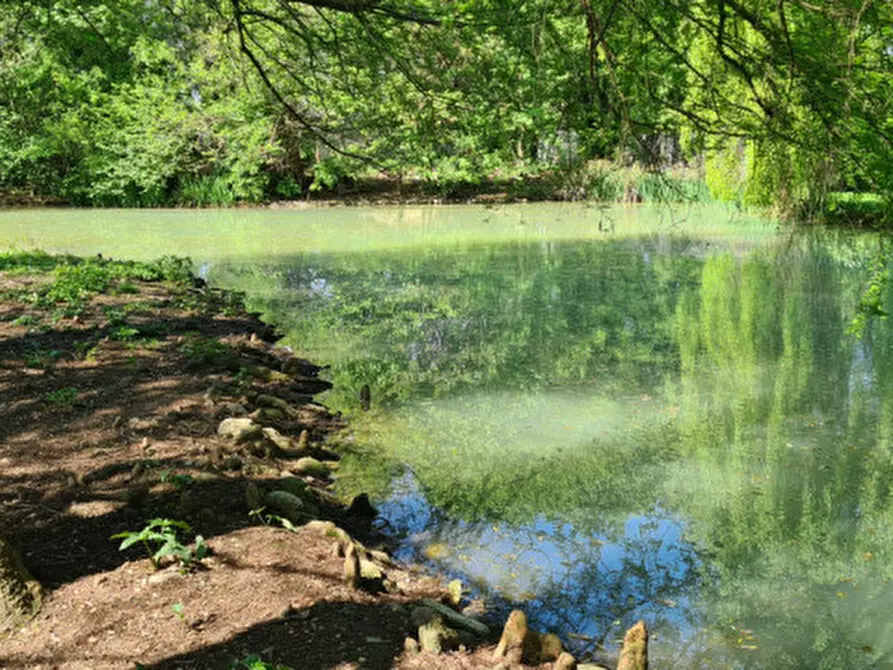 Immagine 46 di Villa in vendita  in Via Cendrole 19/c a Riese Pio x