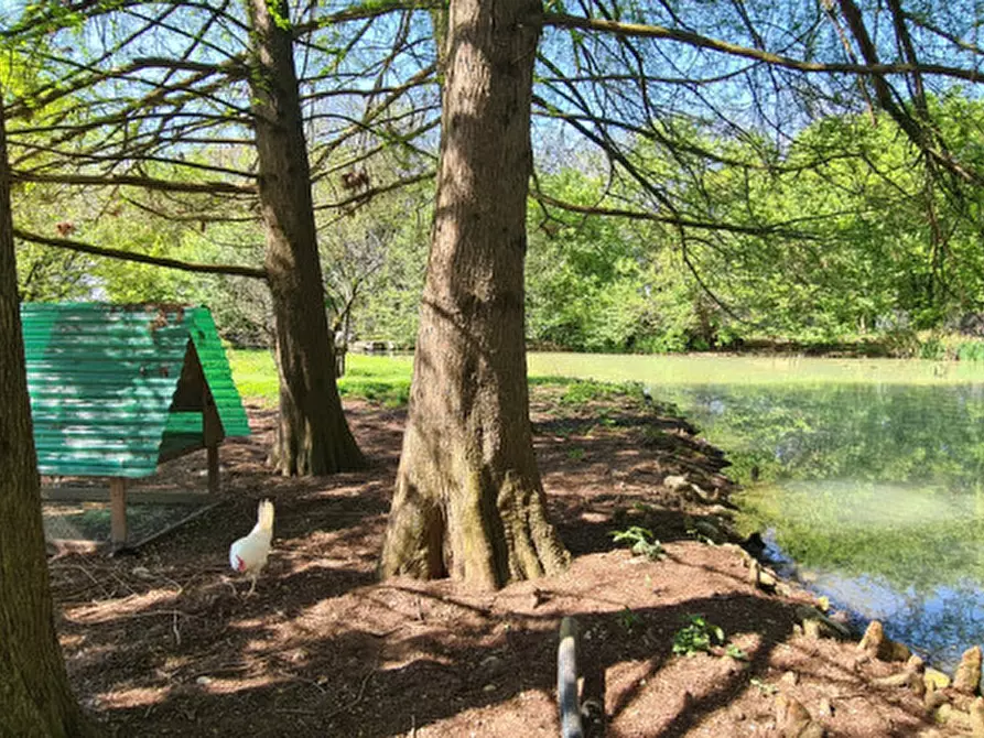 Immagine 47 di Villa in vendita  in Via Cendrole 19/c a Riese Pio x