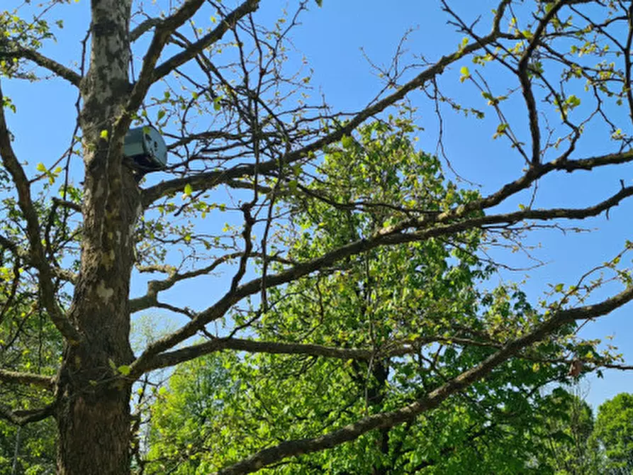 Immagine 48 di Villa in vendita  in Via Cendrole 19/c a Riese Pio x