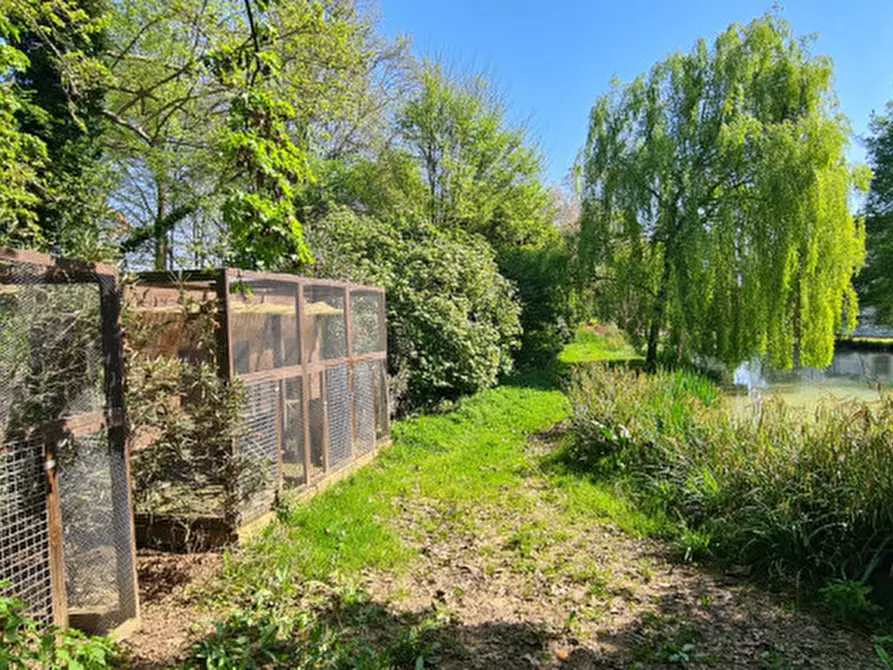 Immagine 49 di Villa in vendita  in Via Cendrole 19/c a Riese Pio x