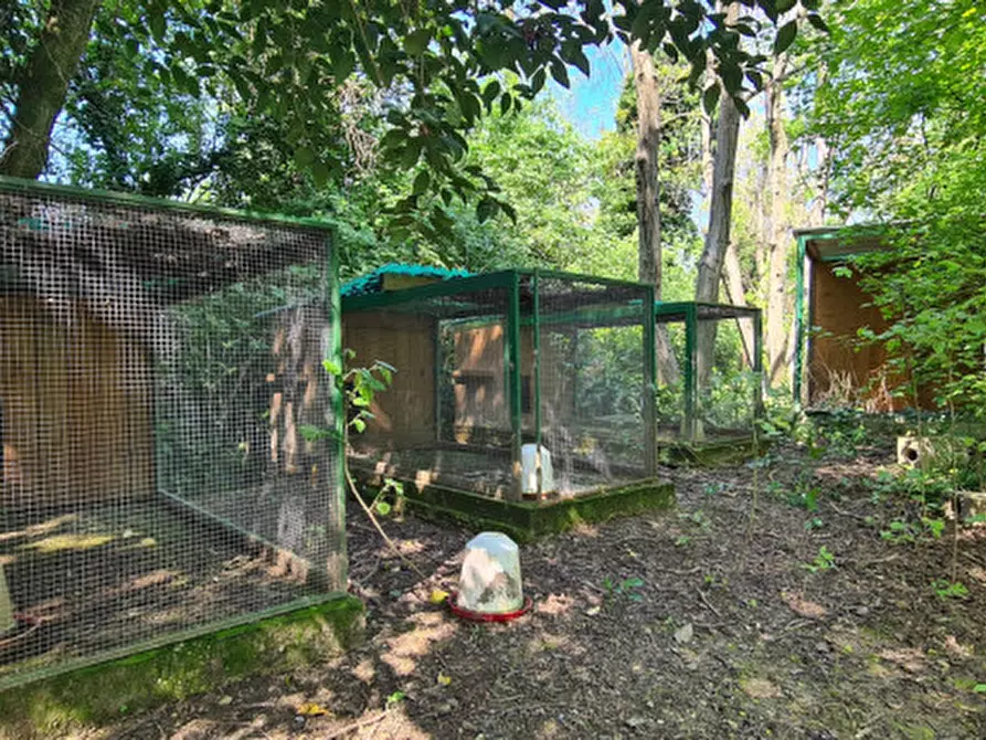 Immagine 50 di Villa in vendita  in Via Cendrole 19/c a Riese Pio x