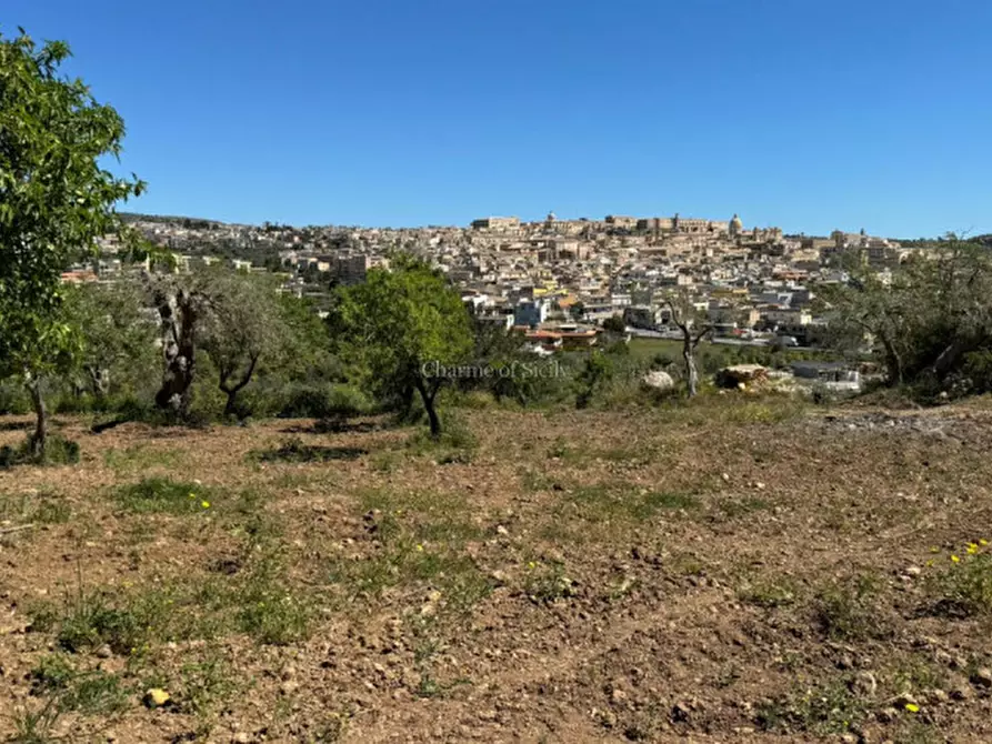 Immagine 2 di Terreno in vendita  in Strada Provinciale Palazzolo Testa dell'Acqua-Noto a Noto