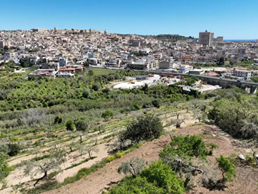 Immagine 4 di Terreno in vendita  in Strada Provinciale Palazzolo Testa dell'Acqua-Noto a Noto