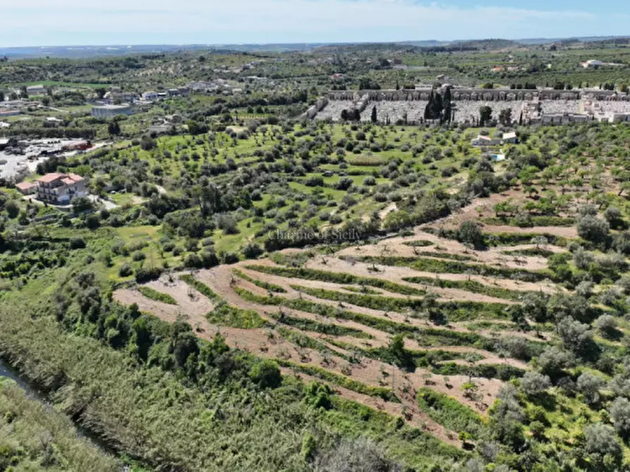 Immagine 6 di Terreno in vendita  in Strada Provinciale Palazzolo Testa dell'Acqua-Noto a Noto