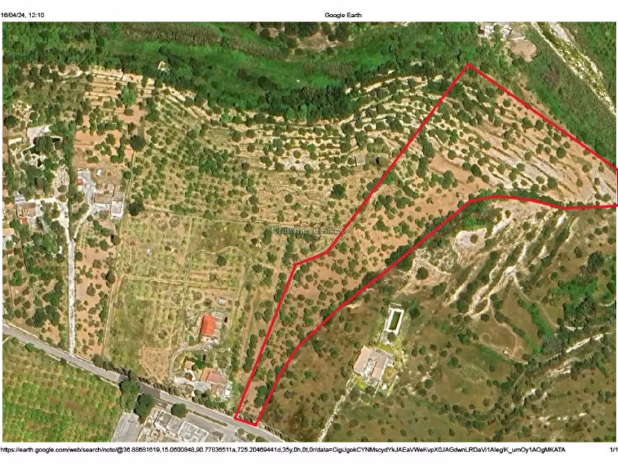 Immagine 8 di Terreno in vendita  in Strada Provinciale Palazzolo Testa dell'Acqua-Noto a Noto