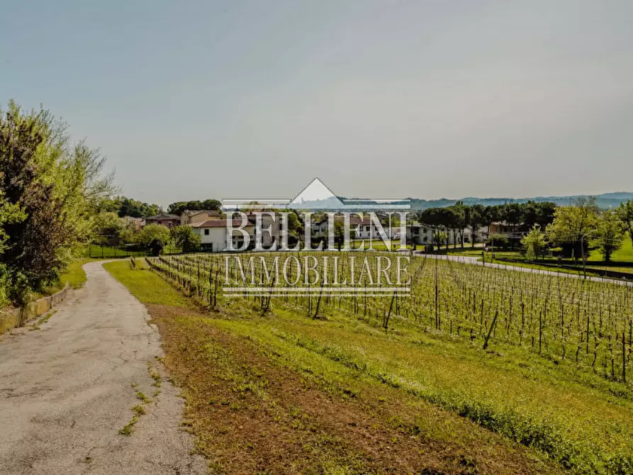 Immagine 23 di Villa in vendita  in Strada del Monte Crocetta a Vicenza