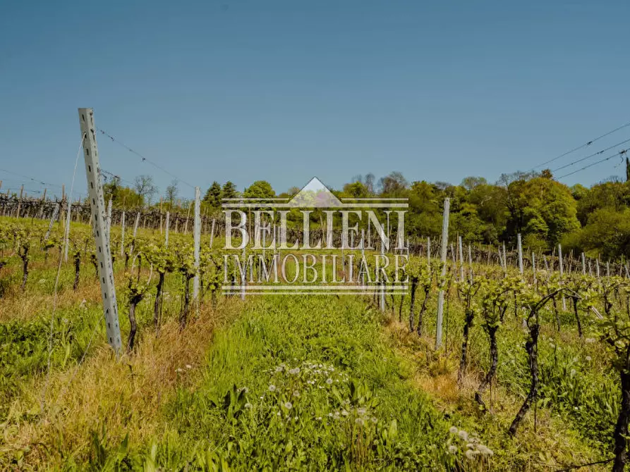 Immagine 24 di Villa in vendita  in Strada del Monte Crocetta a Vicenza