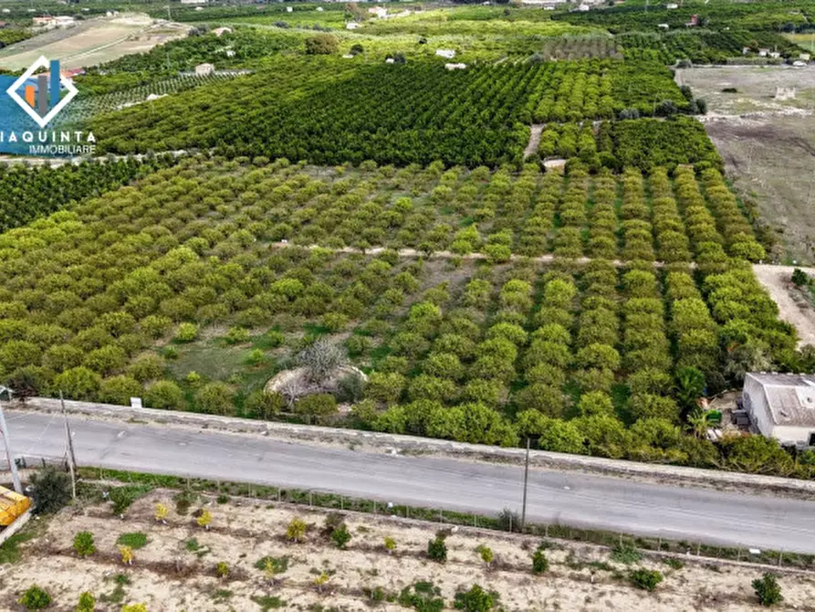 Immagine 1 di Terreno in vendita  in strada provinciale 132 a Palagonia