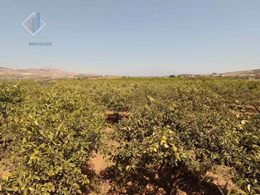 Immagine 2 di Terreno in vendita  in strada provinciale 132 a Palagonia
