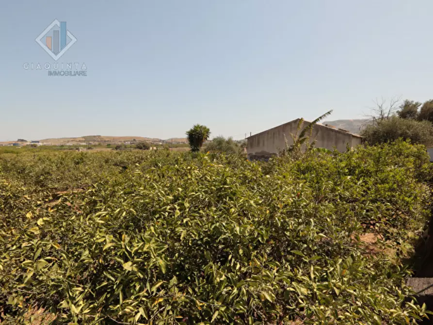 Immagine 3 di Terreno in vendita  in strada provinciale 132 a Palagonia