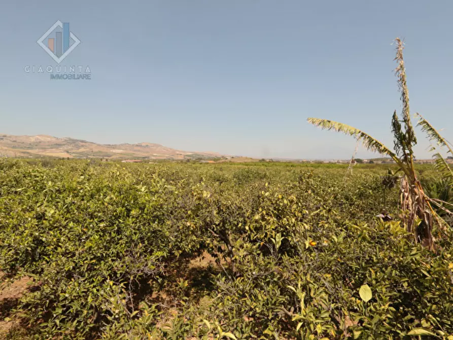 Immagine 5 di Terreno in vendita  in strada provinciale 132 a Palagonia