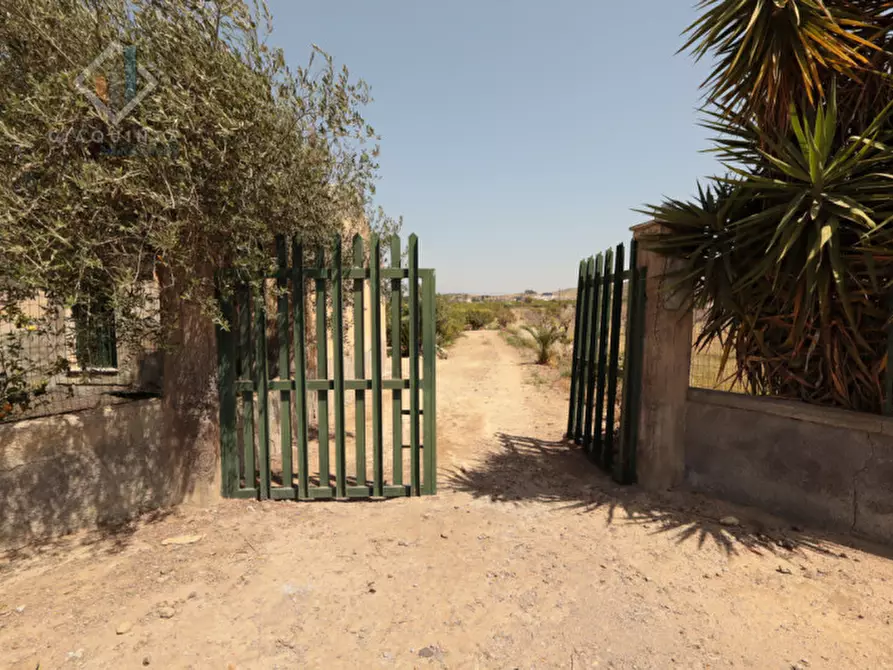 Immagine 6 di Terreno in vendita  in strada provinciale 132 a Palagonia