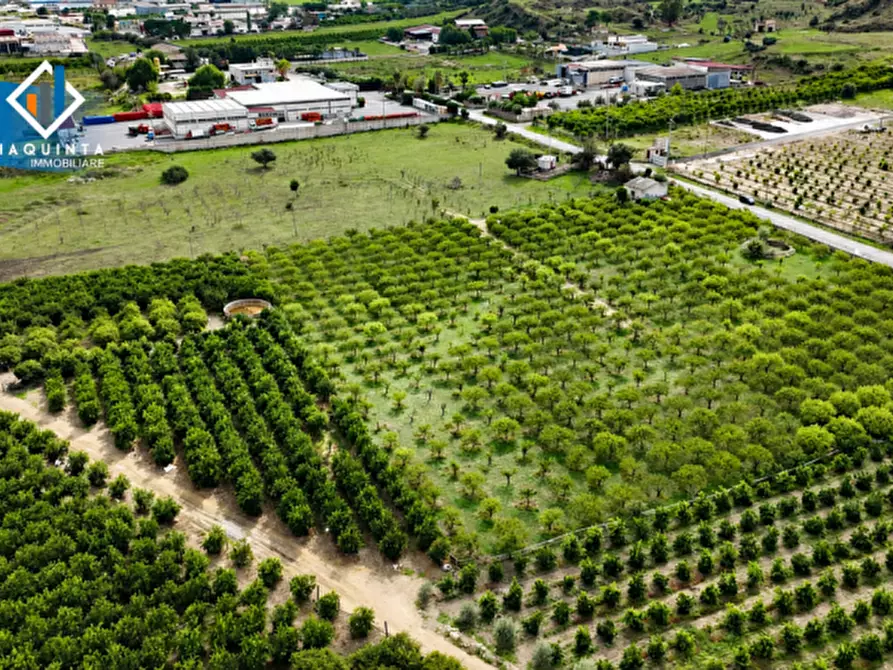 Immagine 7 di Terreno in vendita  in strada provinciale 132 a Palagonia