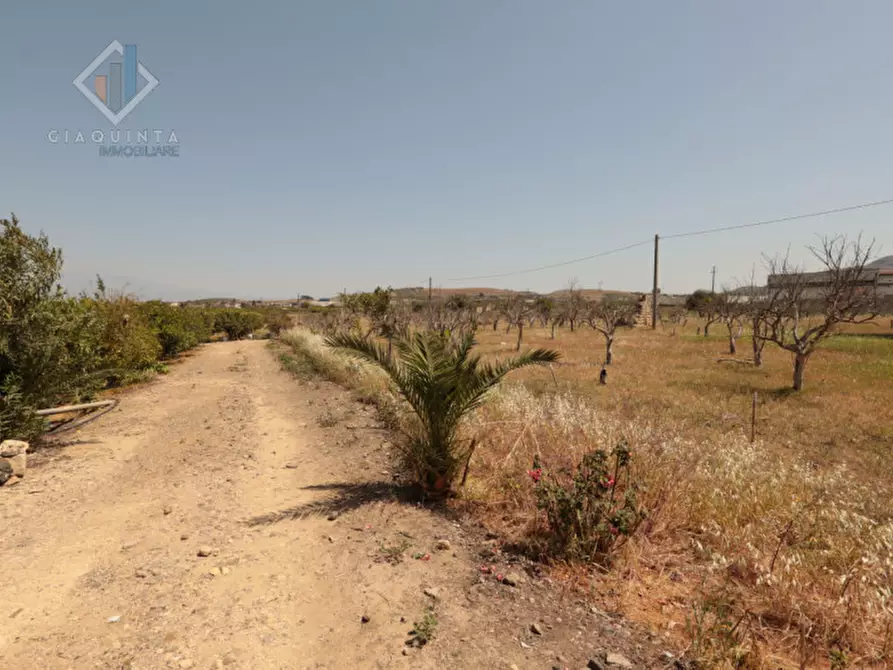 Immagine 8 di Terreno in vendita  in strada provinciale 132 a Palagonia
