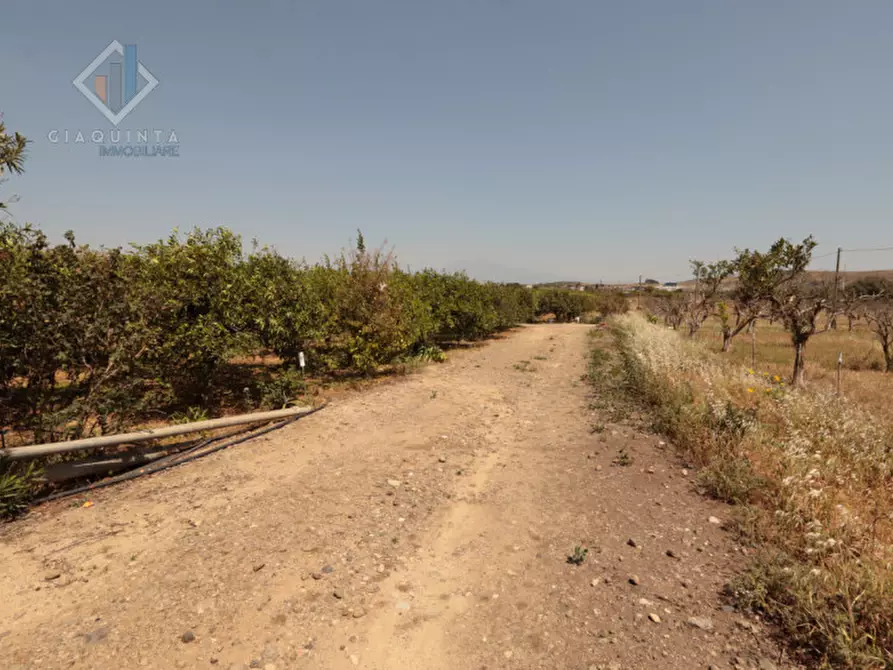 Immagine 9 di Terreno in vendita  in strada provinciale 132 a Palagonia