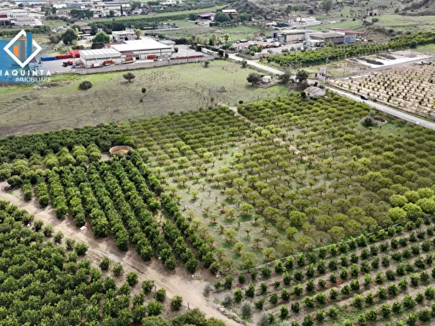 Immagine 11 di Terreno in vendita  in strada provinciale 132 a Palagonia