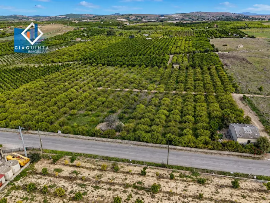 Immagine 11 di Terreno in vendita  in strada provinciale 132 a Palagonia