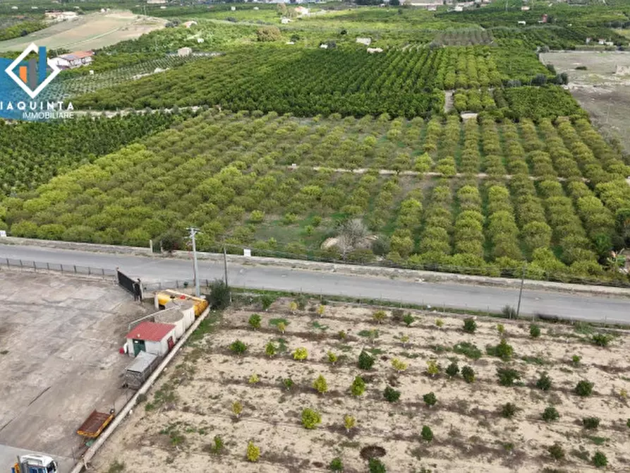 Immagine 12 di Terreno in vendita  in strada provinciale 132 a Palagonia
