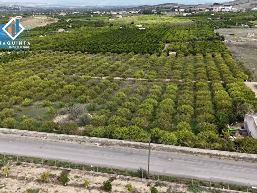 Immagine 13 di Terreno in vendita  in strada provinciale 132 a Palagonia