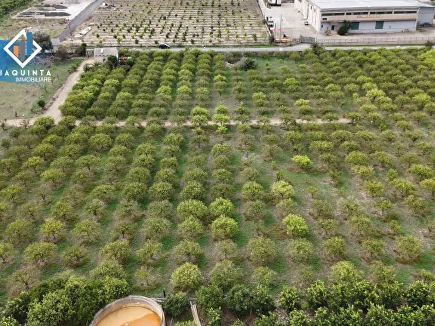 Immagine 14 di Terreno in vendita  in strada provinciale 132 a Palagonia